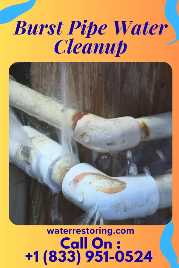 Burst Pipe Water Cleanup in Rock Mills, AL